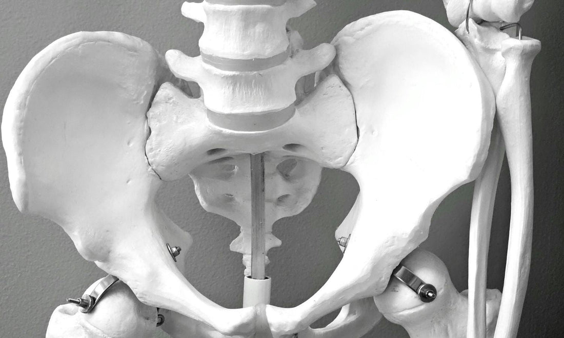 The Wisdom of the Pelvis