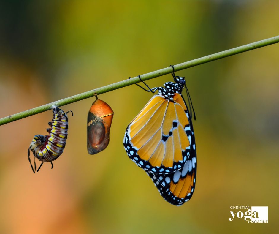 Courage Leads to Transformation